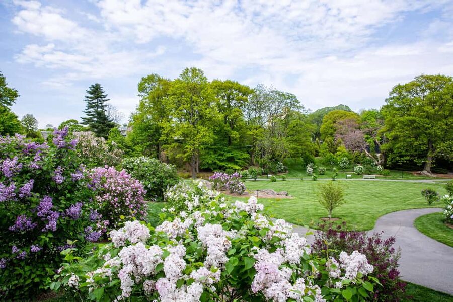 NYC: New York Botanical Garden Pass with Orchid Show Option - Practical planning for a smoother visit