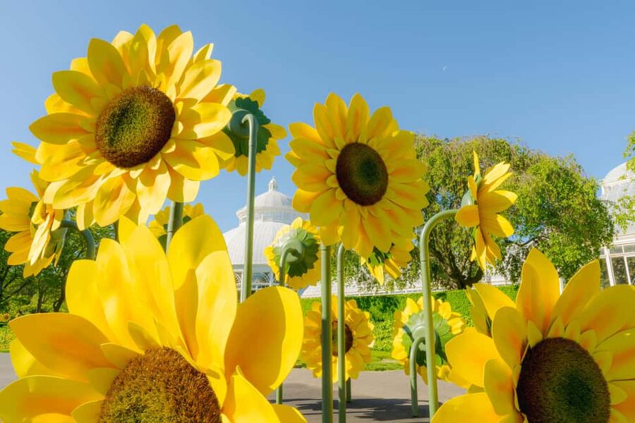 NYC: New York Botanical Garden Pass with Orchid Show Option - Why New York Botanical Garden deserves a full day
