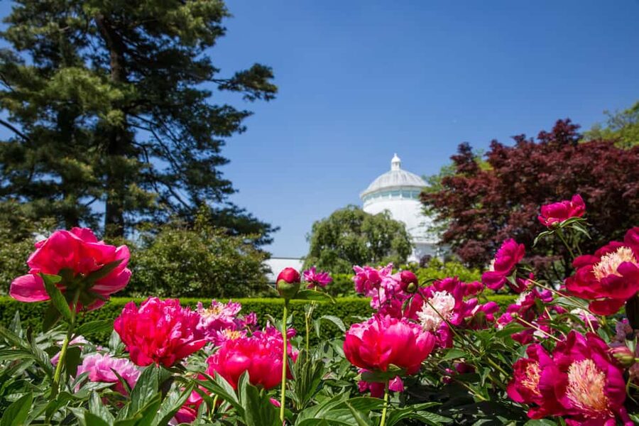 NYC: New York Botanical Garden Pass with Orchid Show Option - Seasonal exhibitions change the experience