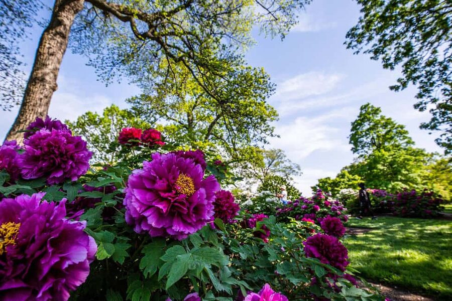 NYC: New York Botanical Garden Pass with Orchid Show Option - What kind of visitor will enjoy this most