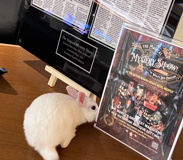 Oahu: Hilton Waikiki Beach Hotel Magical Mystery Show - Practical details that affect your evening