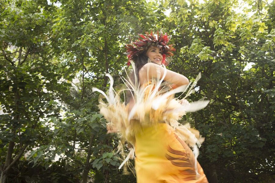 Oahu: Islands of Polynesia and "HA: Breath of Life Show" - Planning the day without a guide