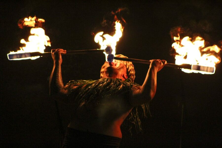 Oahu: Ka Moana Luau Dinner and Show at Aloha Tower - Who will enjoy Ka Moana Luau most?
