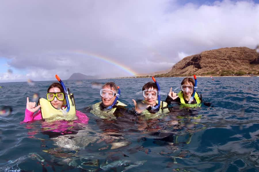 Oahu: Snorkeling & Dolphin Watch Cruise w/ Luau Style Buffet - Key points to know before you book