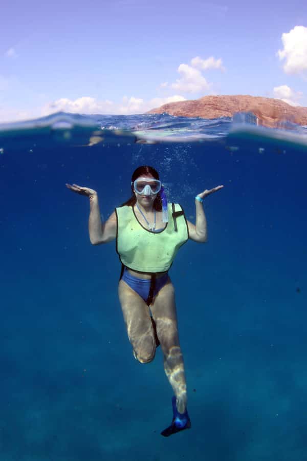 Oahu: Snorkeling & Dolphin Watch Cruise w/ Luau Style Buffet - Watching spinner dolphins and seasonal whales
