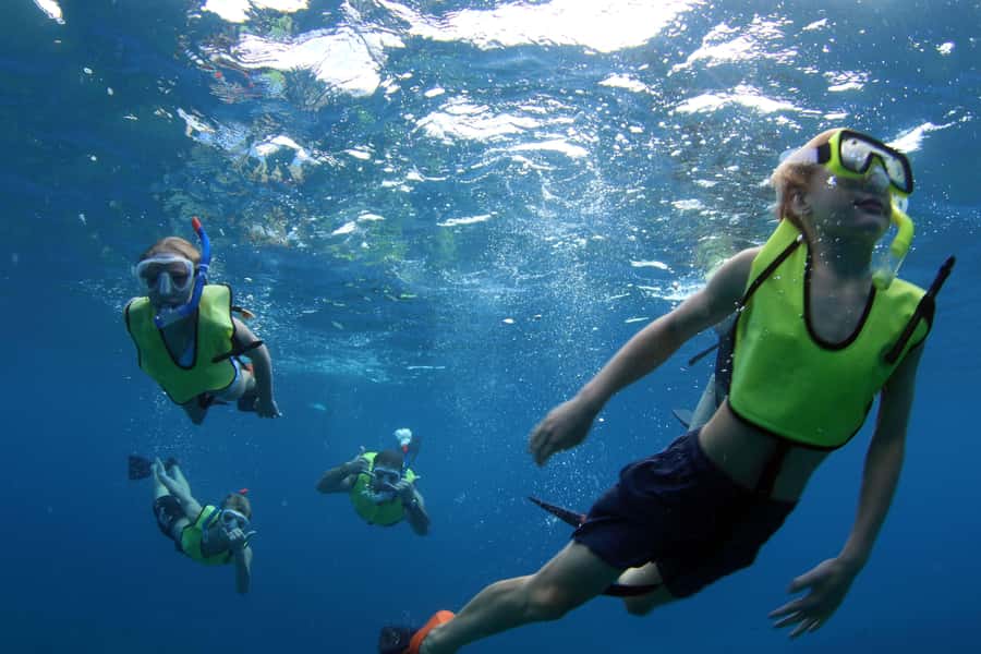 Oahu: Snorkeling & Dolphin Watch Cruise w/ Luau Style Buffet - Snorkeling in clear Hawaiian water