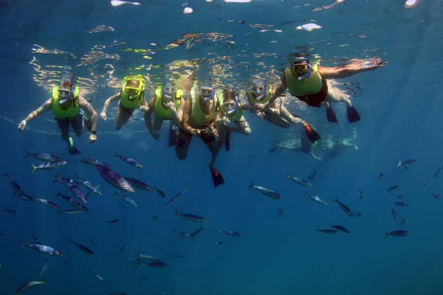 Oahu: Snorkeling & Dolphin Watch Cruise w/ Luau Style Buffet - Who will enjoy this cruise most?