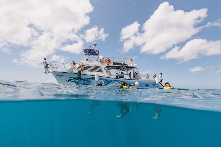 Oahu: Turtle Canyon Snorkeling & Hula Show - Key points at a glance