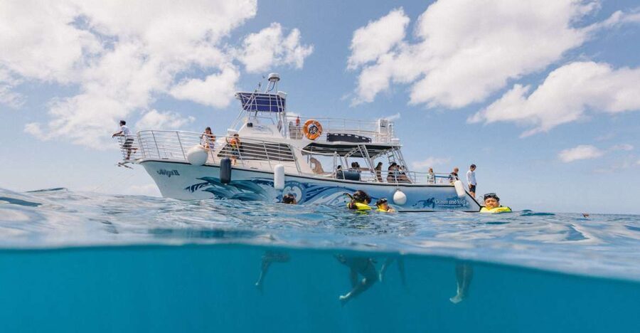 Oahu: Turtle Canyon Snorkeling & Hula Show - Getting to Kewalo Basin Harbor