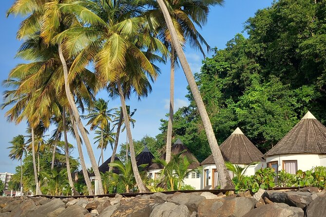 On the Way to Saint Marie: ''Death in Paradise'' Show Locations - The green hills and actors’ filming areas