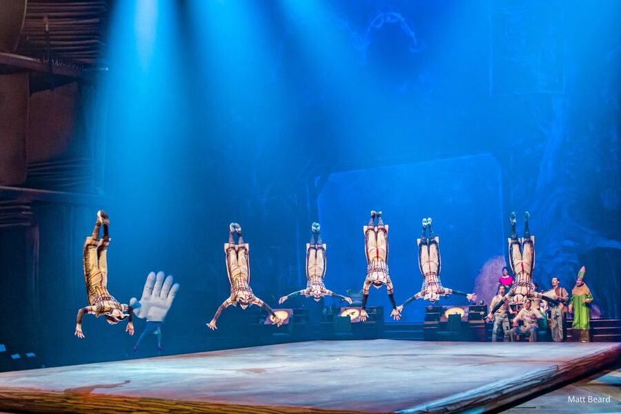 Orlando: "Drawn to Life" Cirque du Soleil Ticket - How to make the evening run smoothly