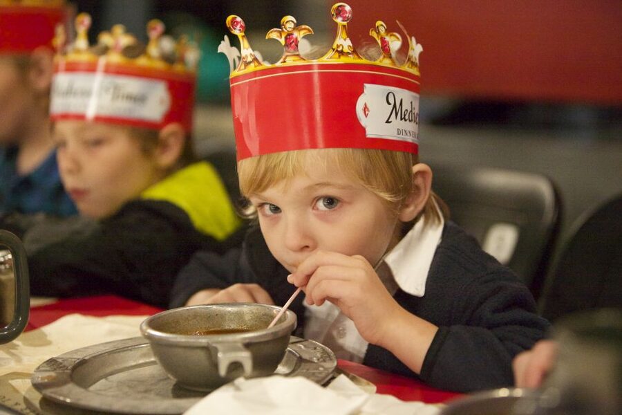 Orlando: Medieval Times Dinner and Show Ticket - Key points to know before you book