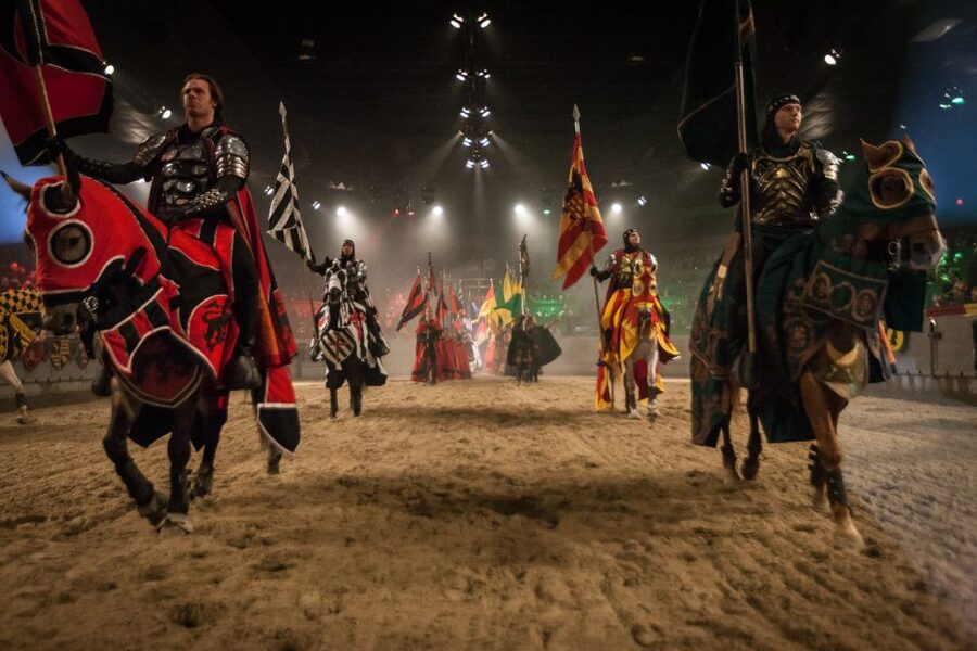 Orlando: Medieval Times Dinner and Show Ticket - Seating, sightlines, and the arena experience