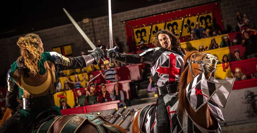 Orlando: Medieval Times Dinner and Show Ticket - Start in the Hall of Arms