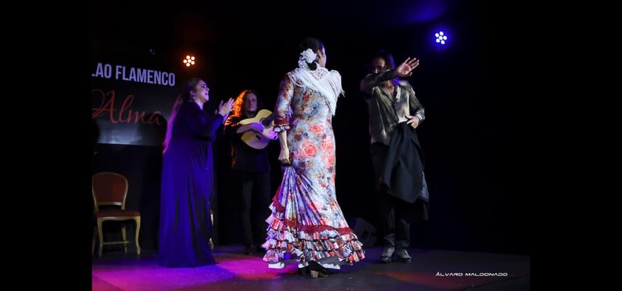 Palma: Flamenco Show at Tablao Flamenco Alma with Drink - Key points before you book