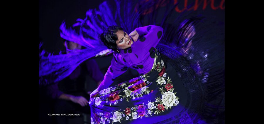 Palma: Flamenco Show at Tablao Flamenco Alma with Drink - Who will enjoy Tablao Flamenco Alma most