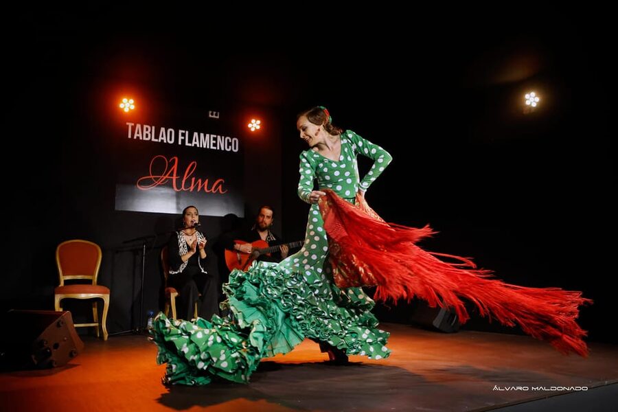 Palma: Flamenco Show at Tablao Flamenco Alma with Drink - Is $47 a fair price?