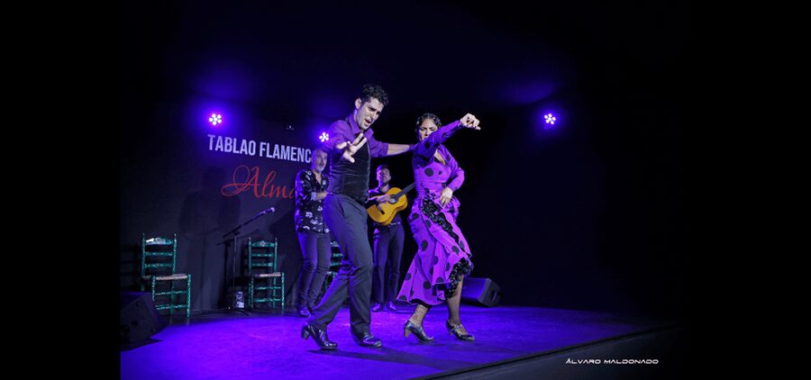 Palma: Flamenco Show at Tablao Flamenco Alma with Drink - What happens during the one-hour performance