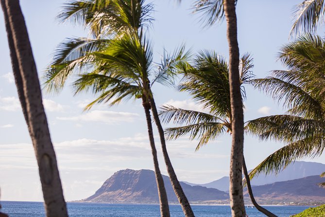 Paradise Cove Luau - Waikiki transportation can change the value