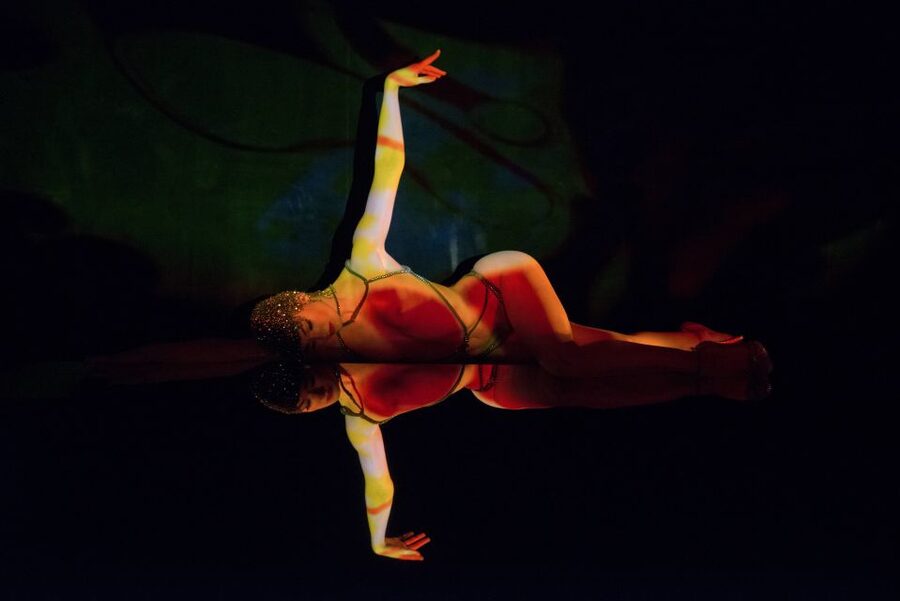 Paris: Dinner at Ginger Restaurant & Show at Crazy Horse - Who will enjoy this most
