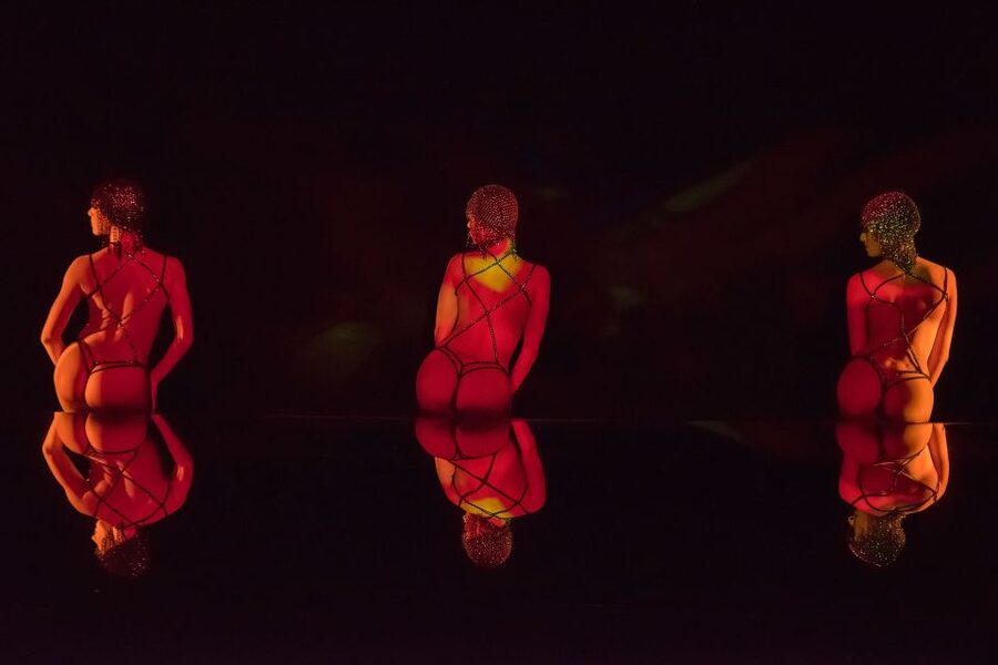 Paris: The Crazy Experience, a VIP tour of the Cabaret - Who will enjoy this most?