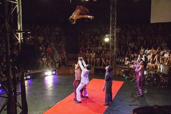 Phare: The Cambodian Circus Show with Pick up & Drop off - Who will enjoy this show most
