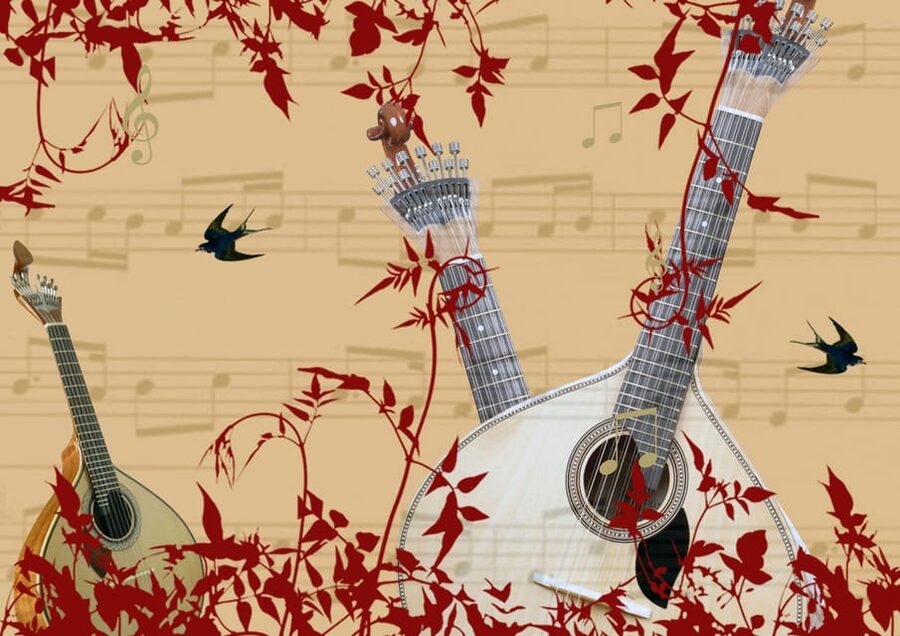 Porto: Fado Show with Dinner in a Traditional Fado House - Who will enjoy this Porto evening