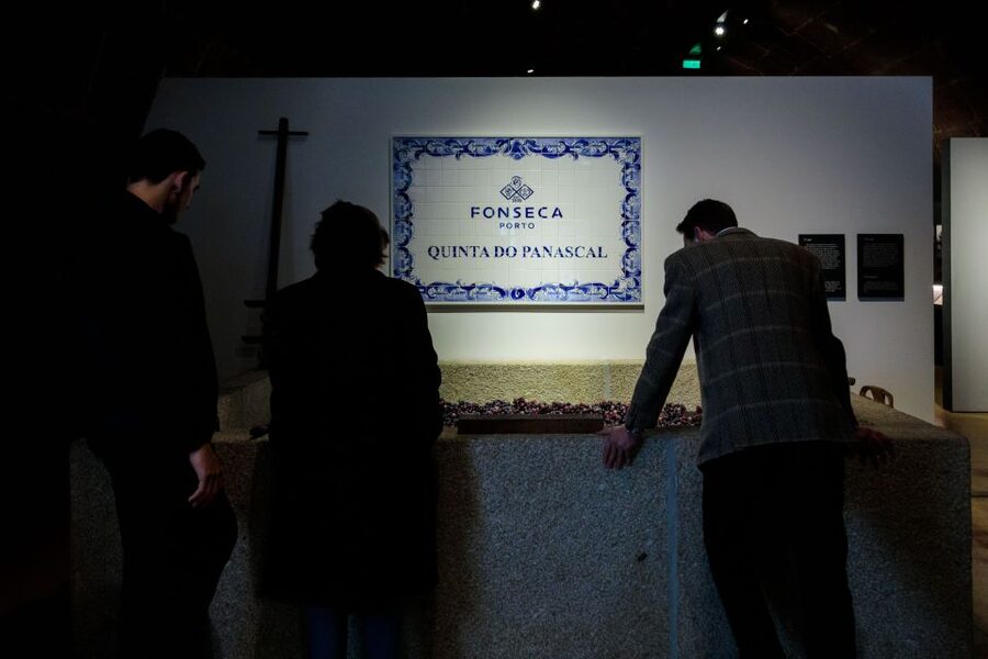 Porto: Fonseca Cellar Tour & Fado Show with Optional Dinner - Should You Book the Fonseca Cellar and Fado Experience?