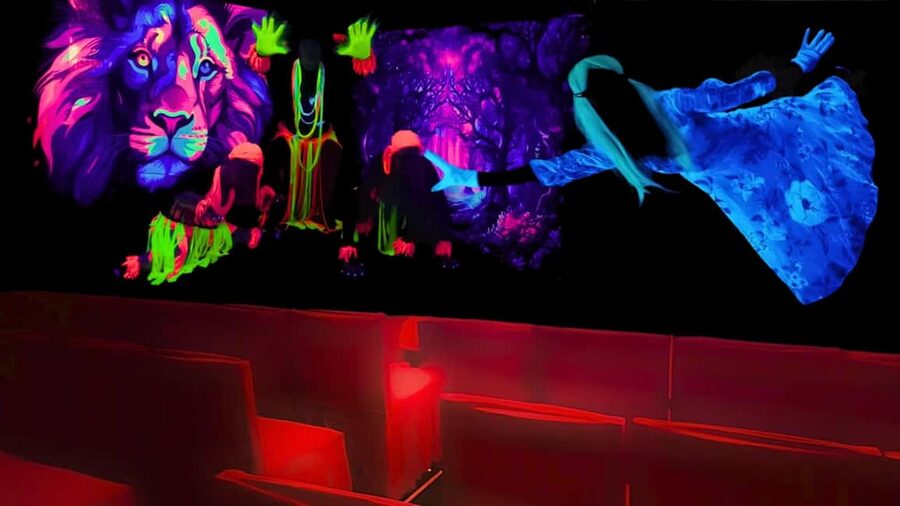 Prague: Underground Black Light Theatre Interactive Show - Is $18 a fair price?