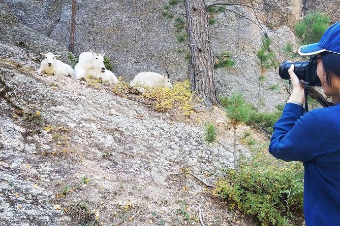 Premiere Private Black Hills Tour: Mt Rushmore, Crazy Horse & Custer State Park - Mount Rushmore in the morning light