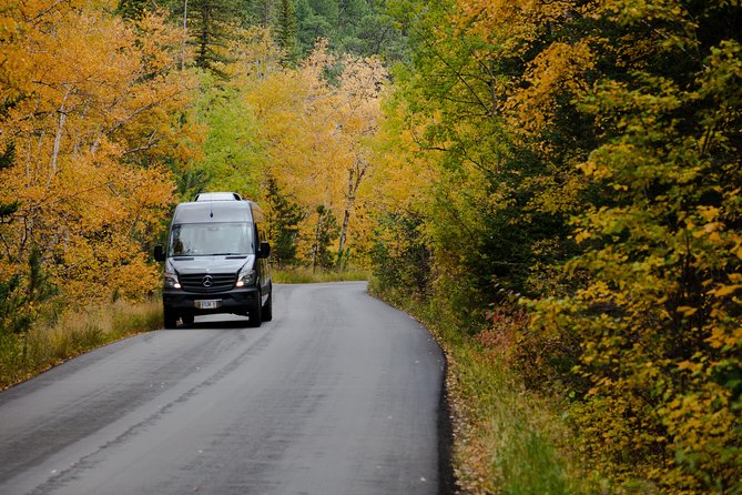 Premiere Private Black Hills Tour: Mt Rushmore, Crazy Horse & Custer State Park - What the guides add to the day