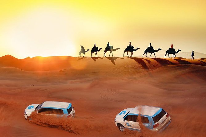 Premium Desert Safari with 45 Minutes of Dune Bashing, BBQ Dinner & Belly Dance - Camel riding and sandboarding in the sand