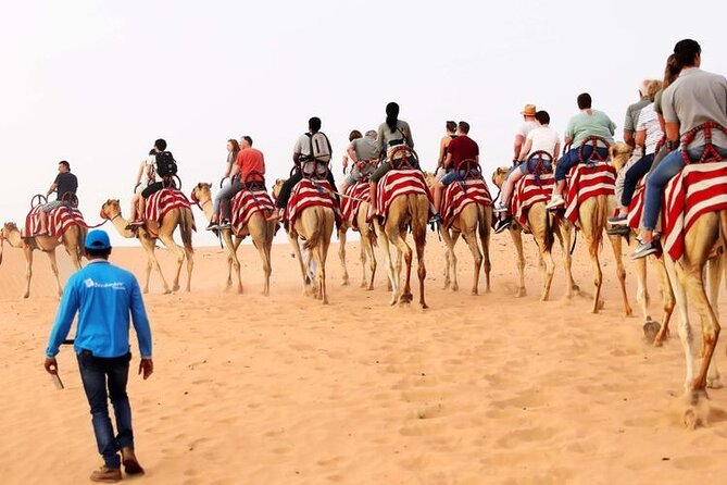 Premium Desert Safari with 45 Minutes of Dune Bashing, BBQ Dinner & Belly Dance - Arabic welcome at the desert camp