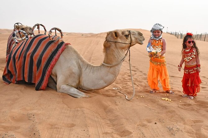 Premium Desert Safari With BBQ Dinner & Belly Dance - The on-site BBQ dinner