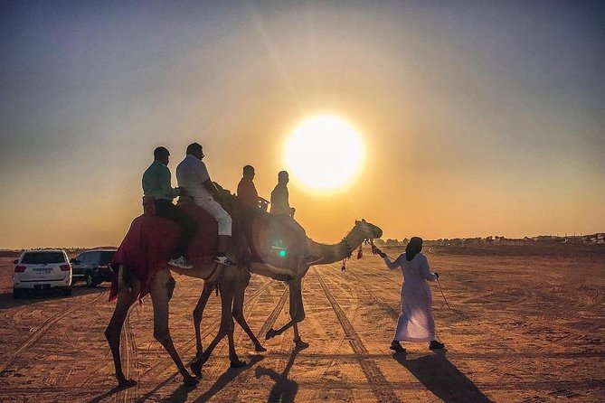 Premium Red dunes safari Camel Safari with bbq dinner live Show's - BBQ dinner with vegetarian choices