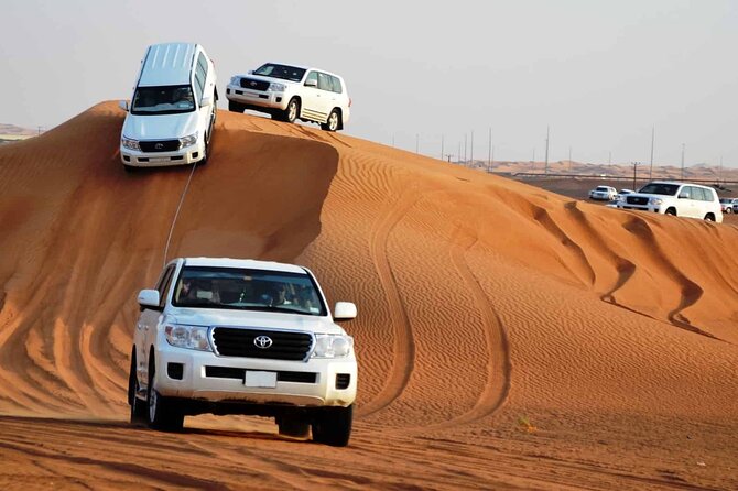 Private Adventure Red Dune Desert Safari With BBQ Dinner & Shows - Key points to know before booking
