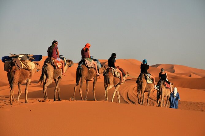 Private Adventure Red Dune Desert Safari With BBQ Dinner & Shows - What happens on the desert drive