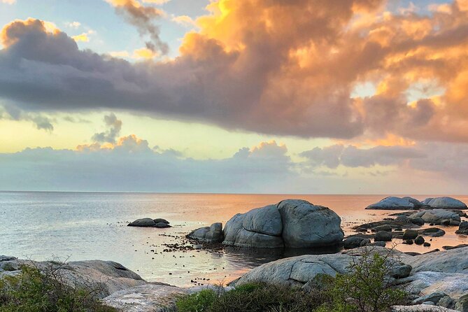Private Day tour of the Cape. Our reviews show why people book! - Two hours at Cape Point Nature Reserve