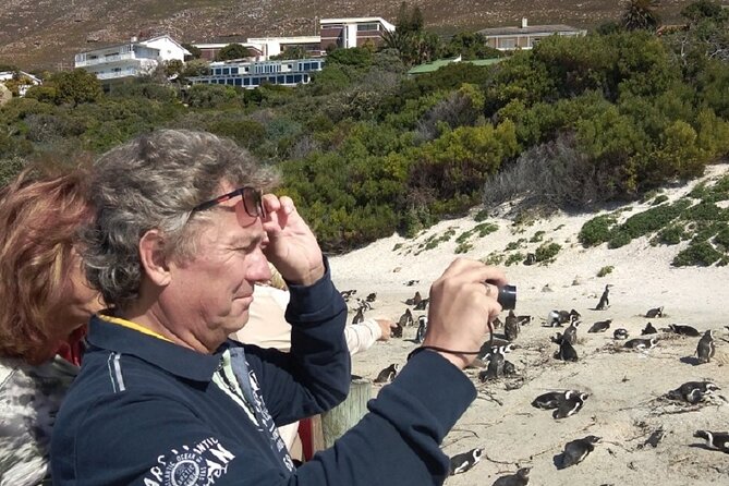 Private Day tour of the Cape. Our reviews show why people book! - Imhoff Farm for a slower local pause