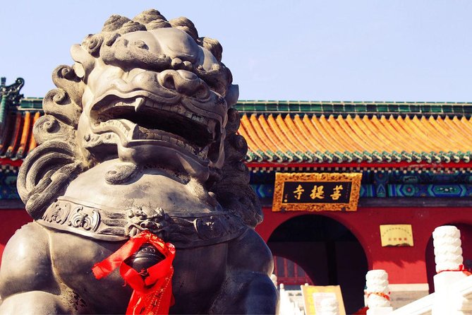 Private Day Tour to Shaolin Temple from Beijing by Bullet Train with Kungfu Show - Why the Shaolin Temple day trip is worth the long ride