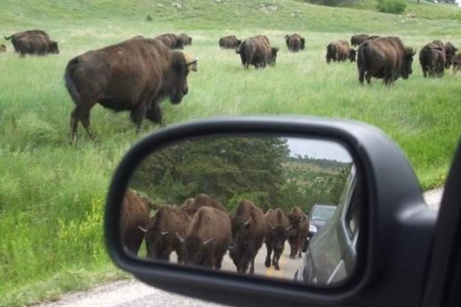 Private Mt Rushmore, Crazy Horse, Custer State Park Monument Tour - Practical details before you reserve