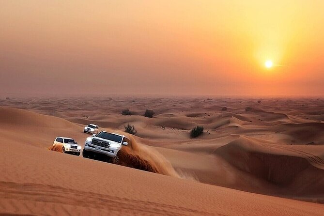 Private Premium Dubai Desert Safari with Camel Ride and Live Show - Sandboarding and Desert Photo Stops