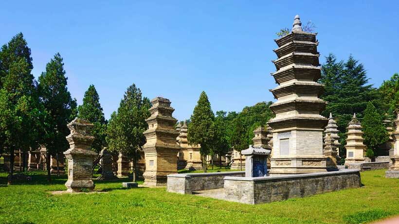 Private Tour: Longmen Grottoes, Shaolin Temple & Kungfu Show - Lunch and the Shaolin kungfu show