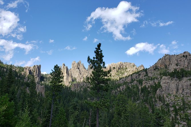 Private Tour of Mount Rushmore, Crazy Horse and Custer State Park - Who should book this tour