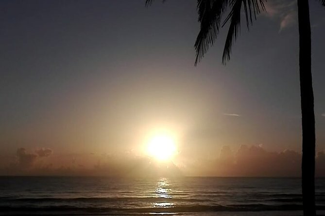 Professional surf lessons Dominican Republic, Cabarete, Encuentro - Why Encuentro is a smart place to learn