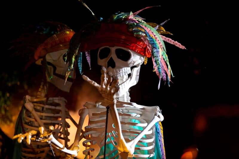 Puerto Vallarta Rhythms of the night, Show & Buffet dinner - Practical Tips for a Smoother Evening