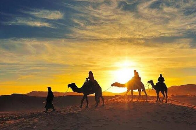 Quad Bike & Camel Ride & Dinner Show In Agafay Desert - Quad biking across the Agafay desert