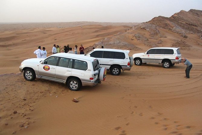 Ras Al Khaimah Desert Safari with Dune Bashing, Belly Dance and BBQ Dinner - Who should book this safari?