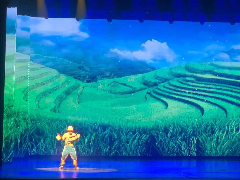 Red Theatre Beijing Acrobatics Show Ticket - Who should book the Red Theatre show