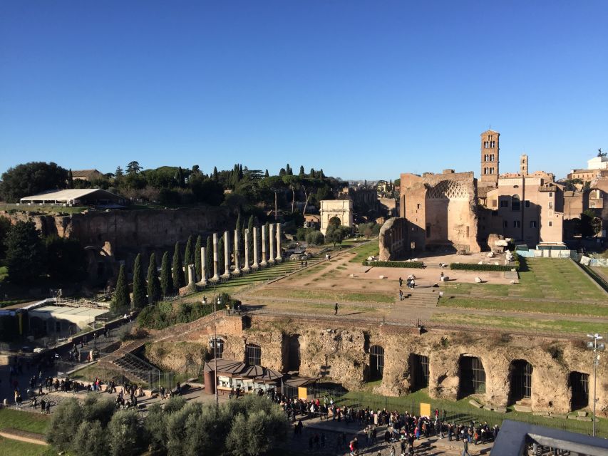 Rome: Roman Forum, Palatine, and Circus Maximus Tour - Price, timing, and what you receive